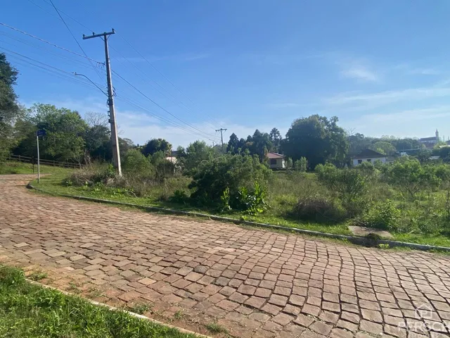 Terreno, foto 3
