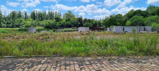 Vista de um terreno com vegetação alta e estruturas no fundo.