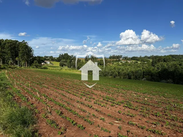 Área rural, foto 4