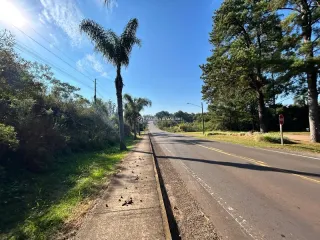 Terreno, foto 3