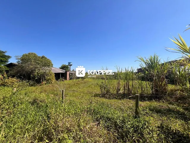 Vista externa de um terreno com vegetação alta sob um céu azul claro.