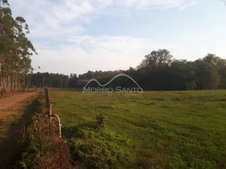 Vista de um campo gramado com árvores ao fundo.