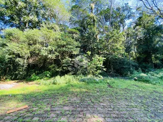 Vista externa da propriedade com vegetação densa ao redor.
