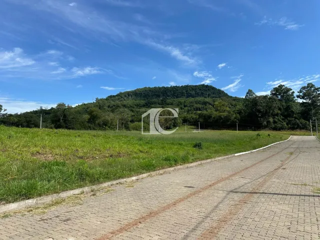 Terreno, foto 5