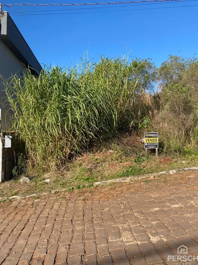 Terreno, foto 3