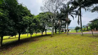 Paisagem de gramado com árvores em um ambiente externo.