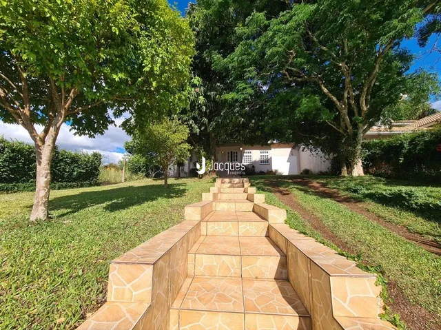 Escadaria de pedra em um jardim gramado ao ar livre.