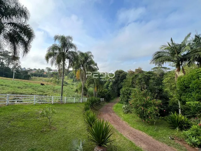 Área rural com 4 dormitórios