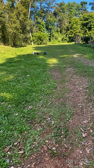 Área rural com 3 dormitórios, foto 2