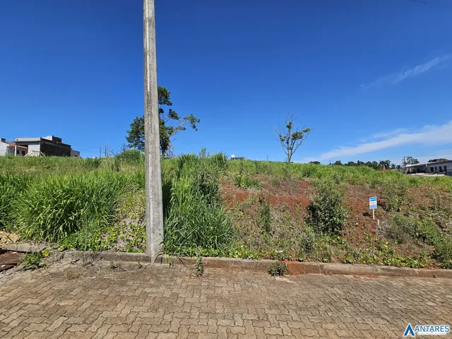 Terreno, foto 2