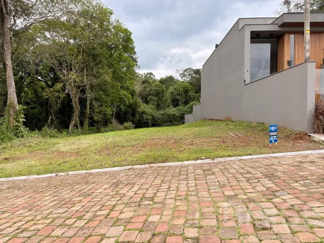 Terreno, foto 3