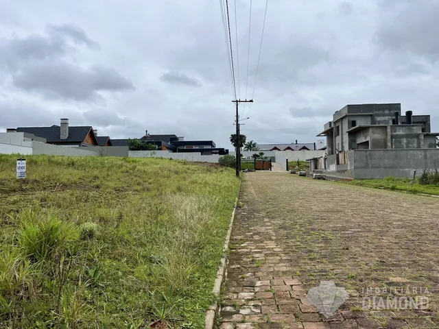 Terreno, foto 2
