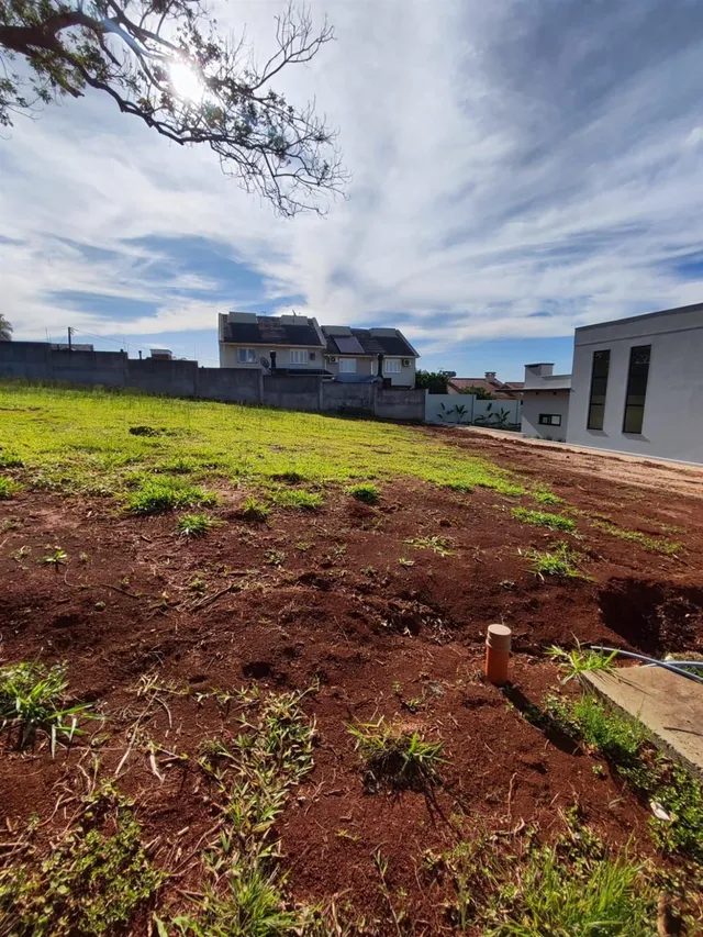 Terreno, foto 5