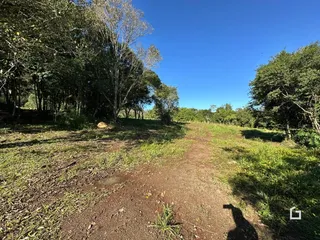 Um caminho de terra atravessa uma área de vegetação densa sob um céu azul.