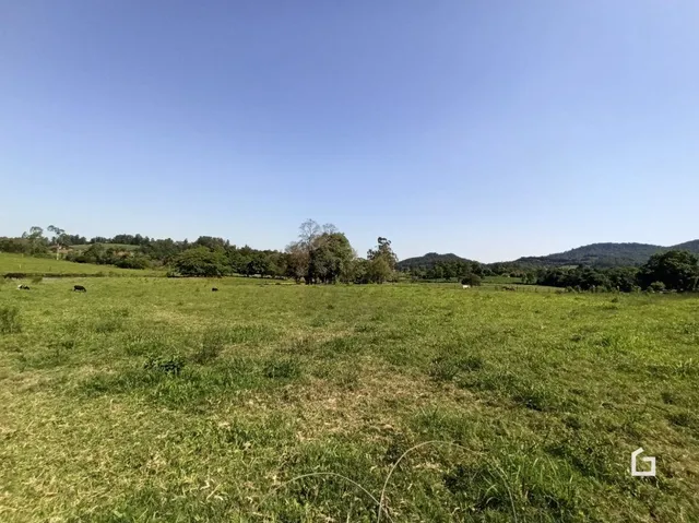 Vista de um campo verde aberto sob um céu azul.