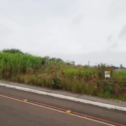 Vista de uma estrada com vegetação alta ao fundo.