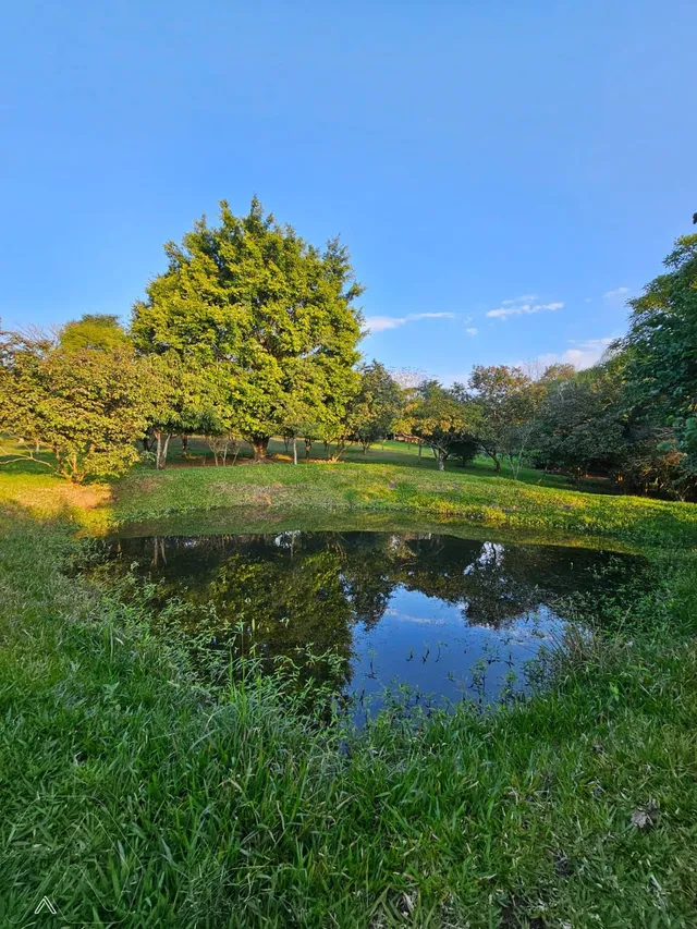 Área rural com 2 dormitórios, foto 5