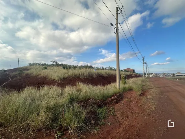 Paisagem de terra e vegetação ao longo de uma estrada rural.