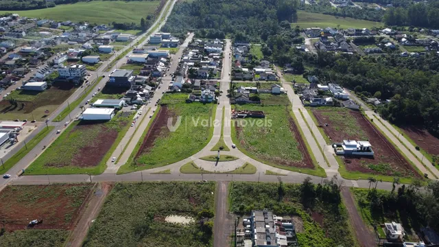 Terreno, foto 4