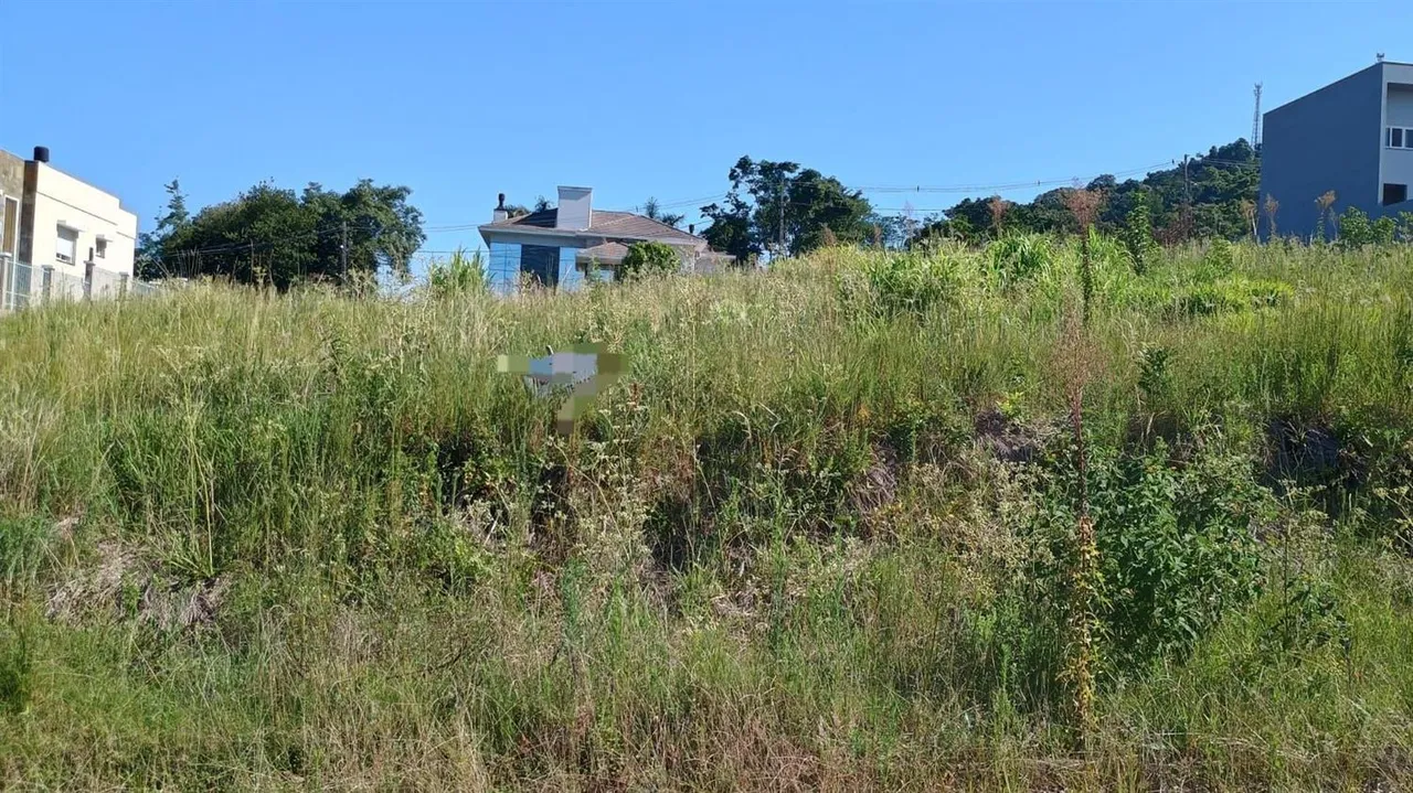 Terreno, foto 1