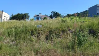 Terreno, foto 1