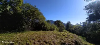 Terreno, foto 7