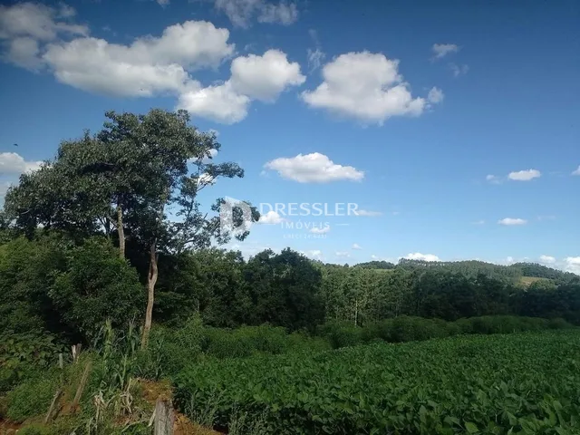 Paisagem de mata e céu azul no Brasil.