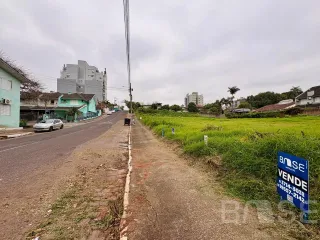 Terreno, foto 5
