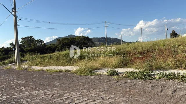 Terreno, foto 2