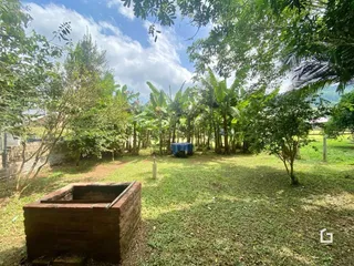 Área rural com 4 dormitórios, foto 22