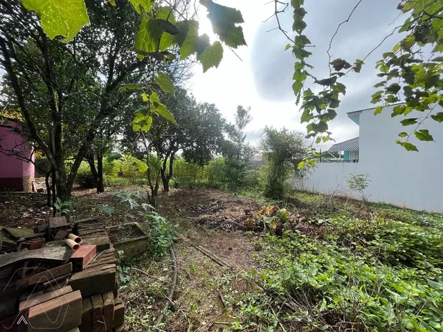 Terreno, foto 2