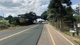 Terreno, foto 3