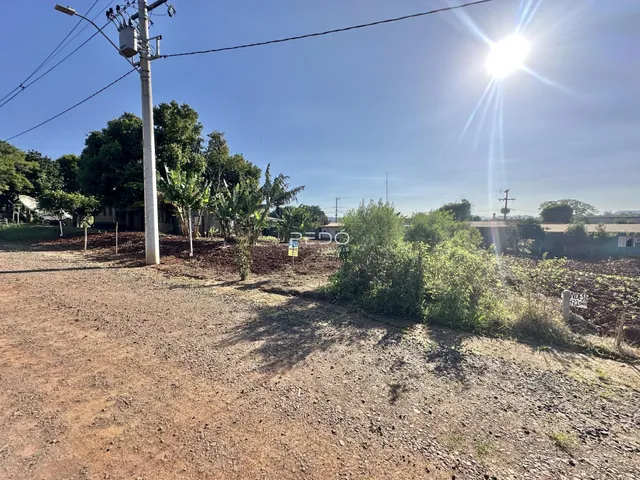 Terreno, foto 3