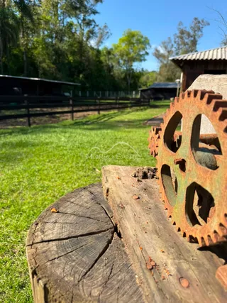 Foto de um tronco de madeira com uma engrenagem enferrujada em um jardim ao ar livre.