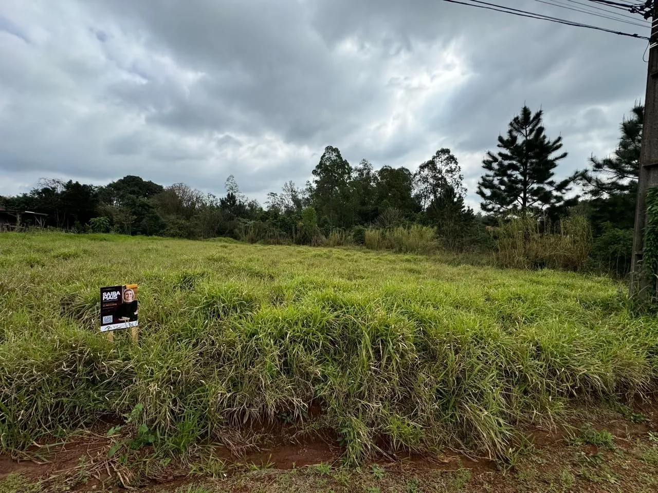 Terreno, foto 1