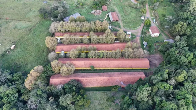 Área rural