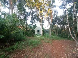 Terreno, foto 4