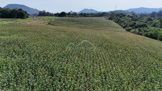 Paisagem de campo cultivado com colinas e vegetação ao fundo.