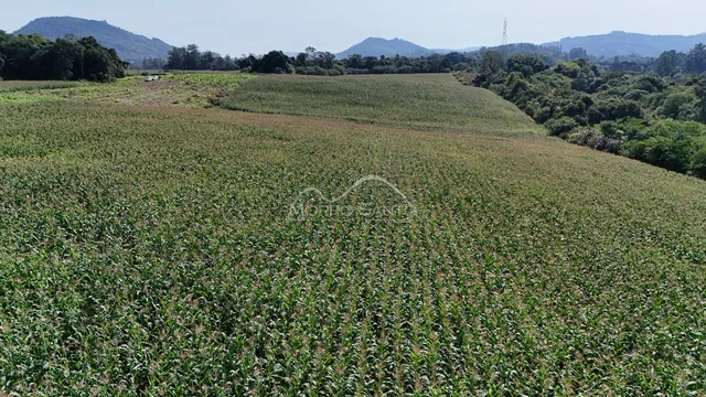 Paisagem de campo cultivado com colinas e vegetação ao fundo.