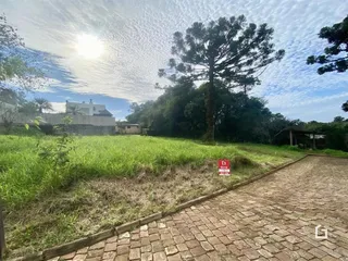 Terreno, foto 3