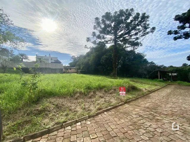 Terreno, foto 3