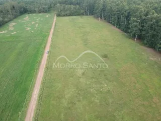 Campo aberto com vegetação e estrada de terra em uma propriedade.
