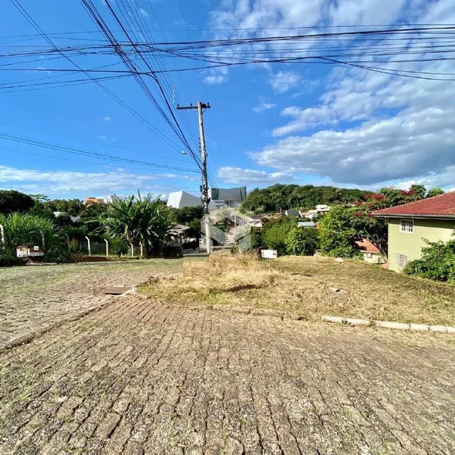 Vista externa de um terreno com vegetação e grama seca em Lajeado.