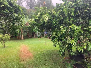 Área rural com 3 dormitórios, foto 23
