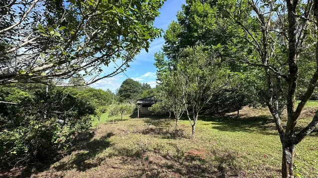 Área rural com 3 dormitórios, foto 3
