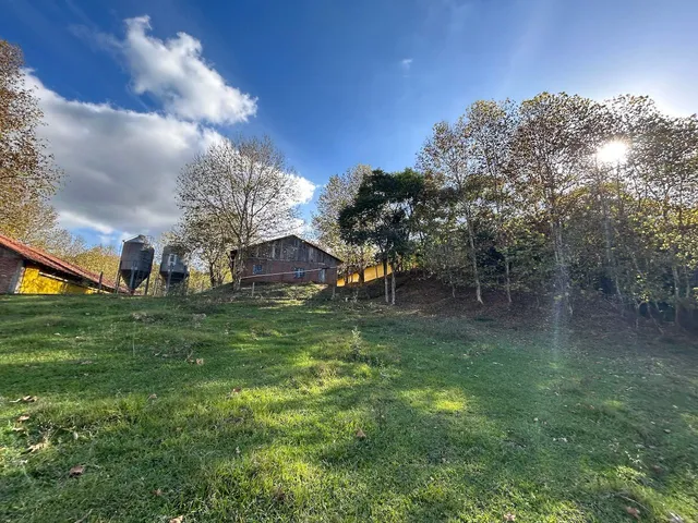 Área rural, foto 3