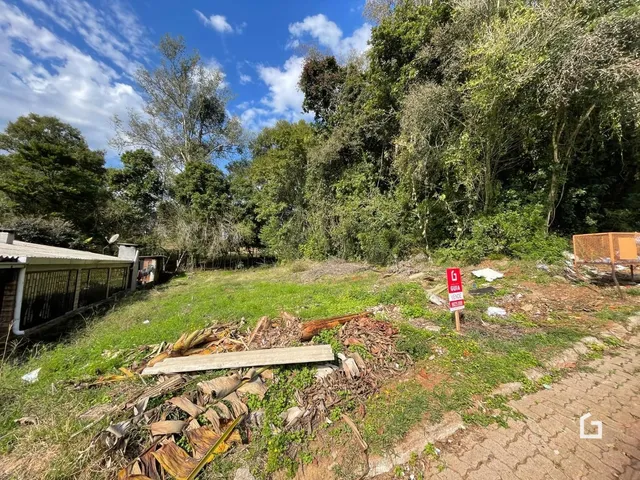 Terreno, foto 2