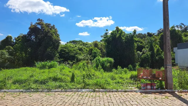 Terreno, foto 2
