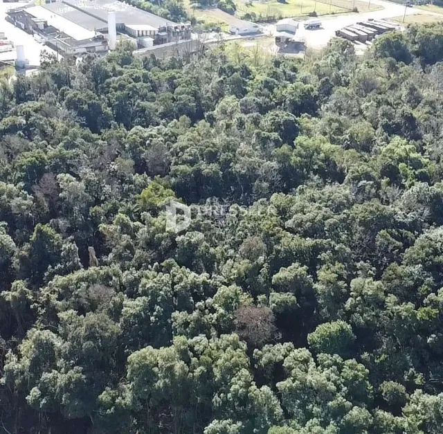 Área rural, foto 2