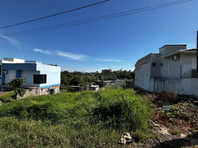 Terreno, foto 2
